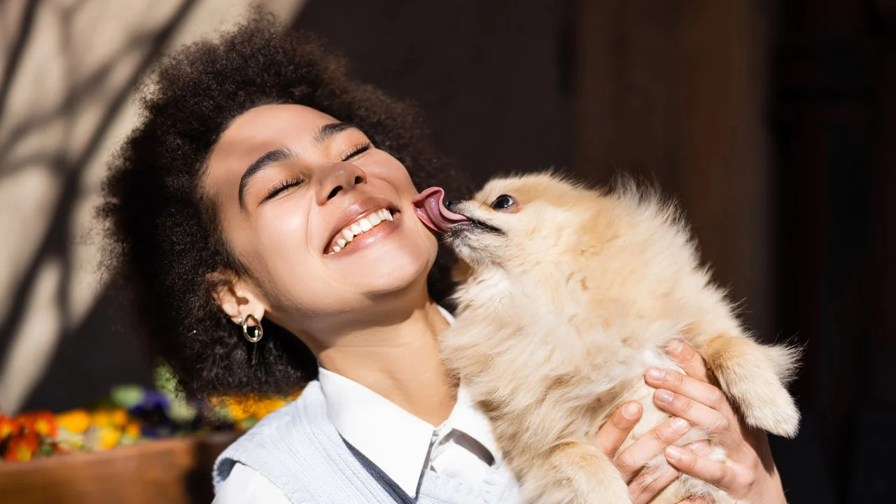 Why Your Dog Licks You So Much (And What It’s Trying to Communicate)
